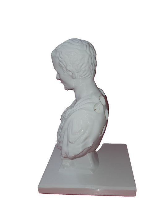 Julius Caesar Ides of March Pen Pencil Holder Sculpture Desk Organizer Teacher