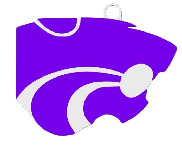 Angleton Wildcats Hype Chain for TX High School Football Baseball Softball Basketball Tennis | Booster Club Cheer Squad Spirit Gear Brazoria