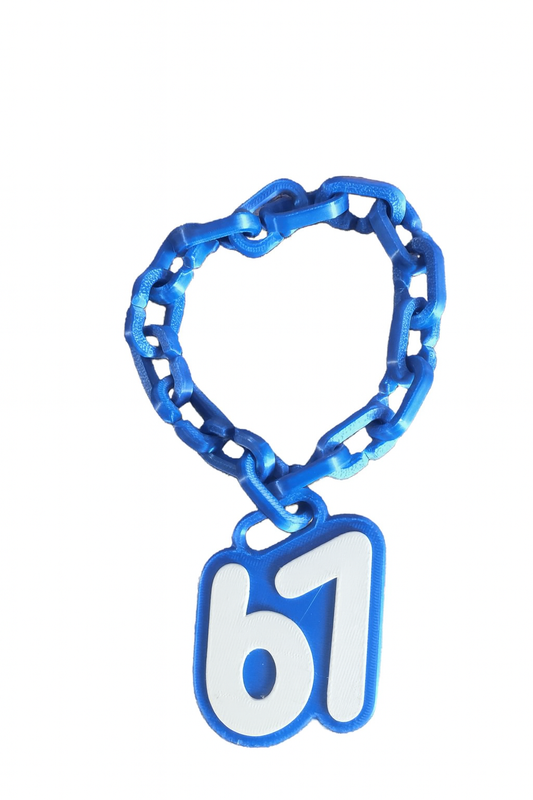 67 Hype Bing Necklace Compatible With WWE Wrestling Figure Accessory WWF AEW Blue