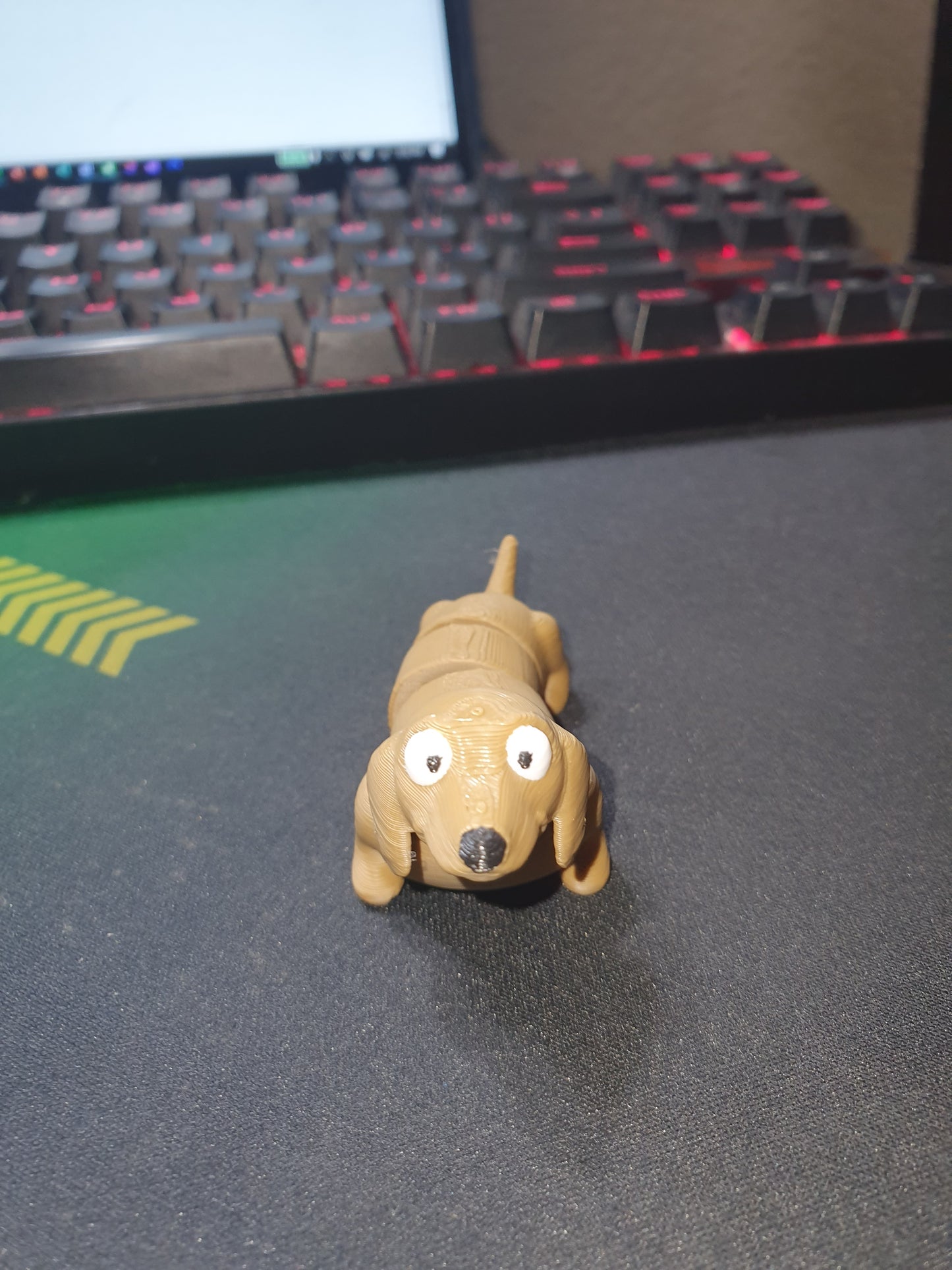 brown_weiner_dog_fidget