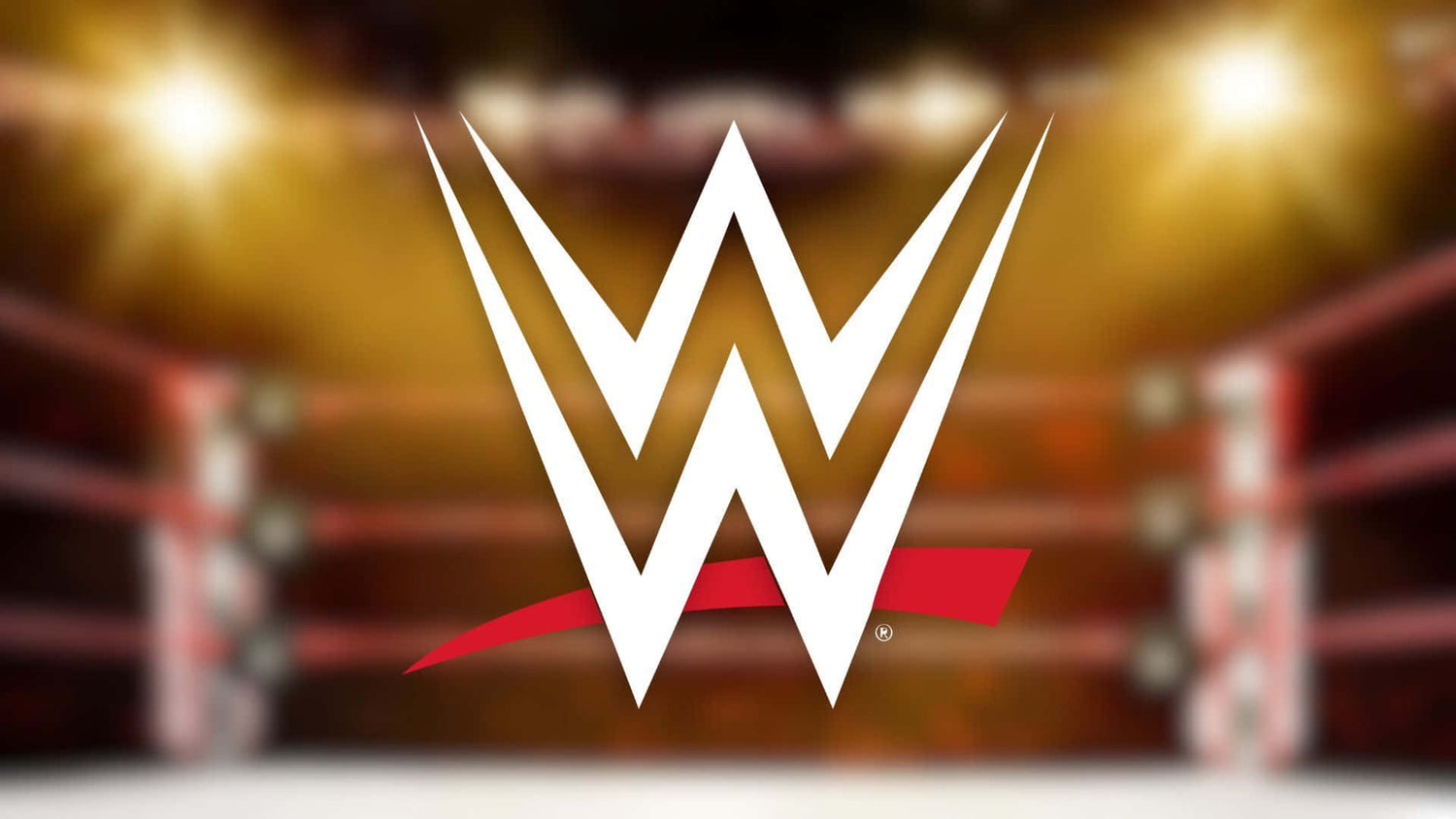 WWE Product: Chains, Swag, Displays
