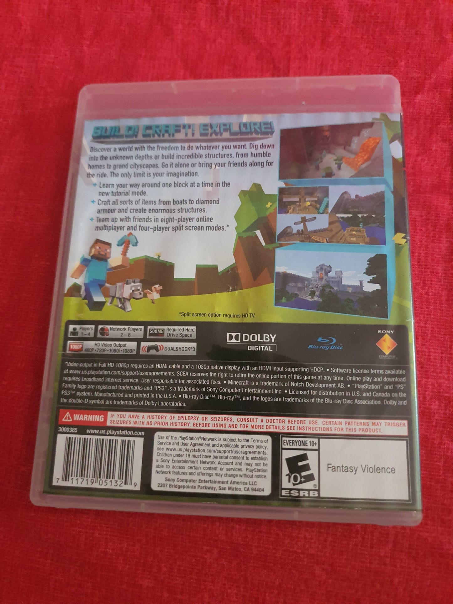 Minecraft PlayStation 3 Edition (PlayStation 3, 2014) Tested 3000385 Region Free