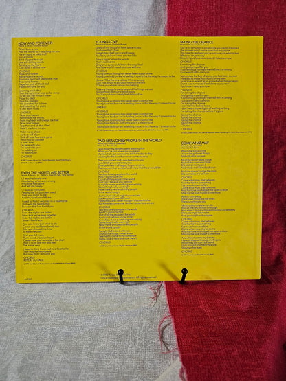 Air Supply Now And Forever Vinyl LP Arista AL 9587 Pop Rock Black 12" 33 EX/EX