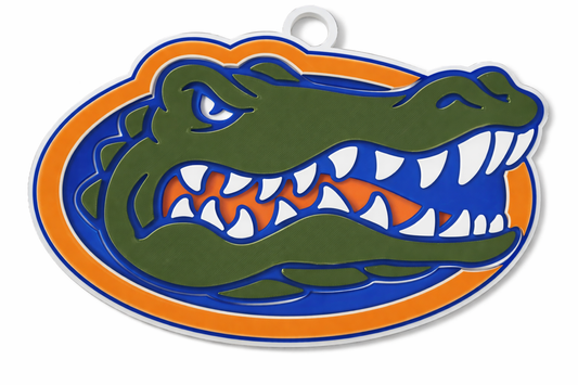 Florida Gators Wall Room Home Decor Emblem College Football Basketball Baseball